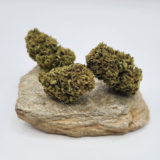 Cream Mandarine