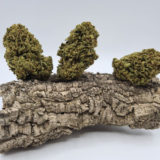 Cream Mandarine – Image 2